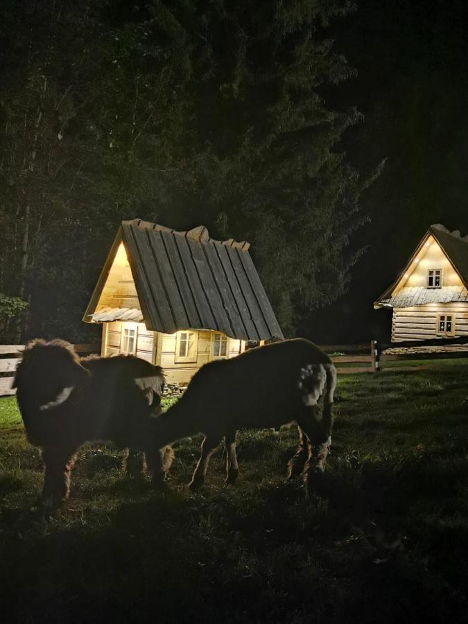 Zagroda Krowiarki Chocholow Kültér fotó